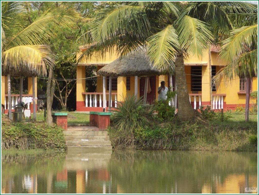 Tarangamala Resort Mandarmani Bagian luar foto